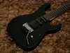 Caparison Dellinger 3.jpg